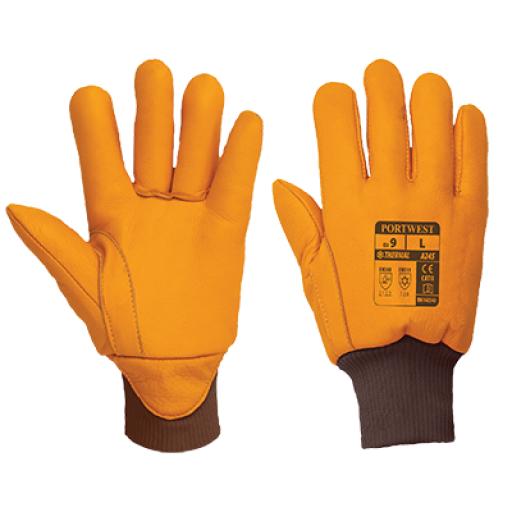 Portwest Antarctic Insulatex Glove