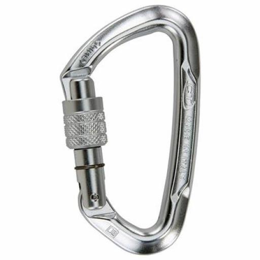 Standard 100mm Screwgate Carabiner